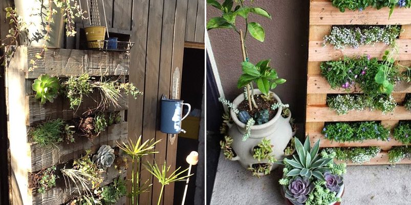 Muro vegetal con palets de madera